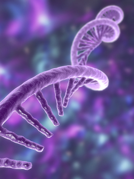 DNA & RNA Thumbnail